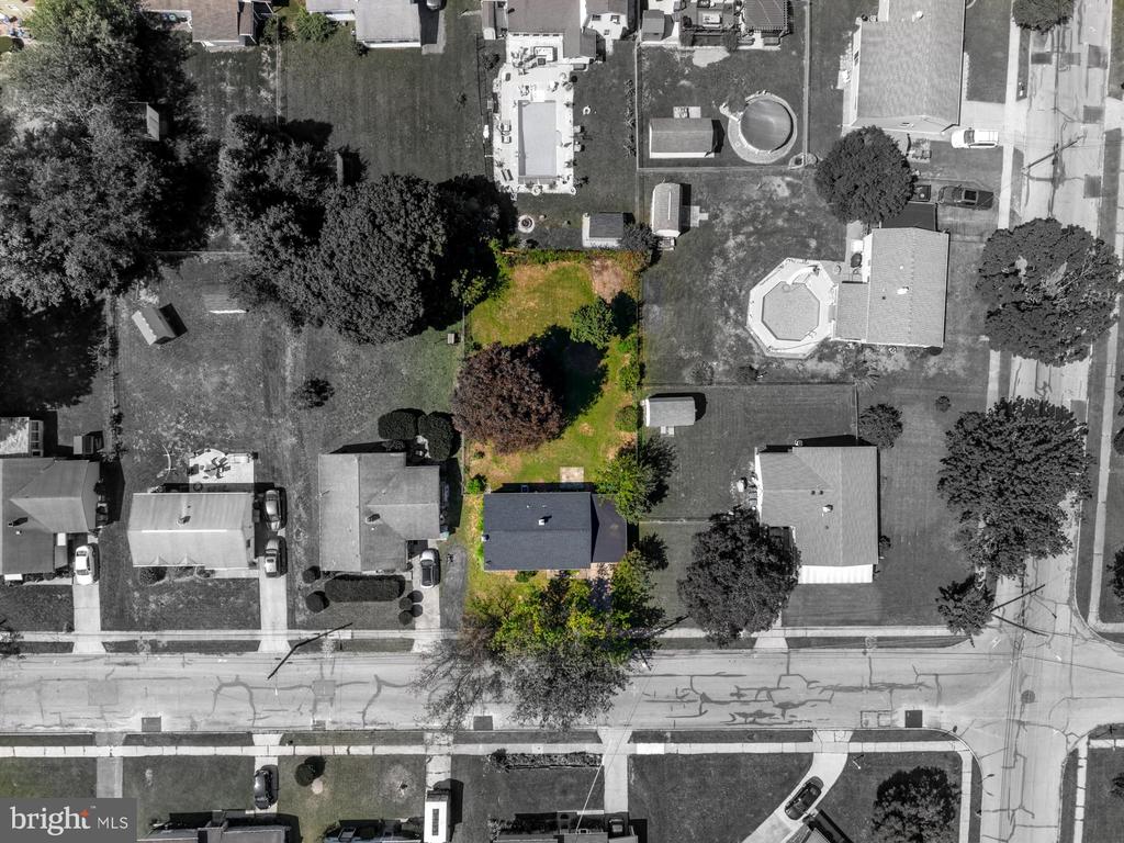 1010 COLLINGSWOOD