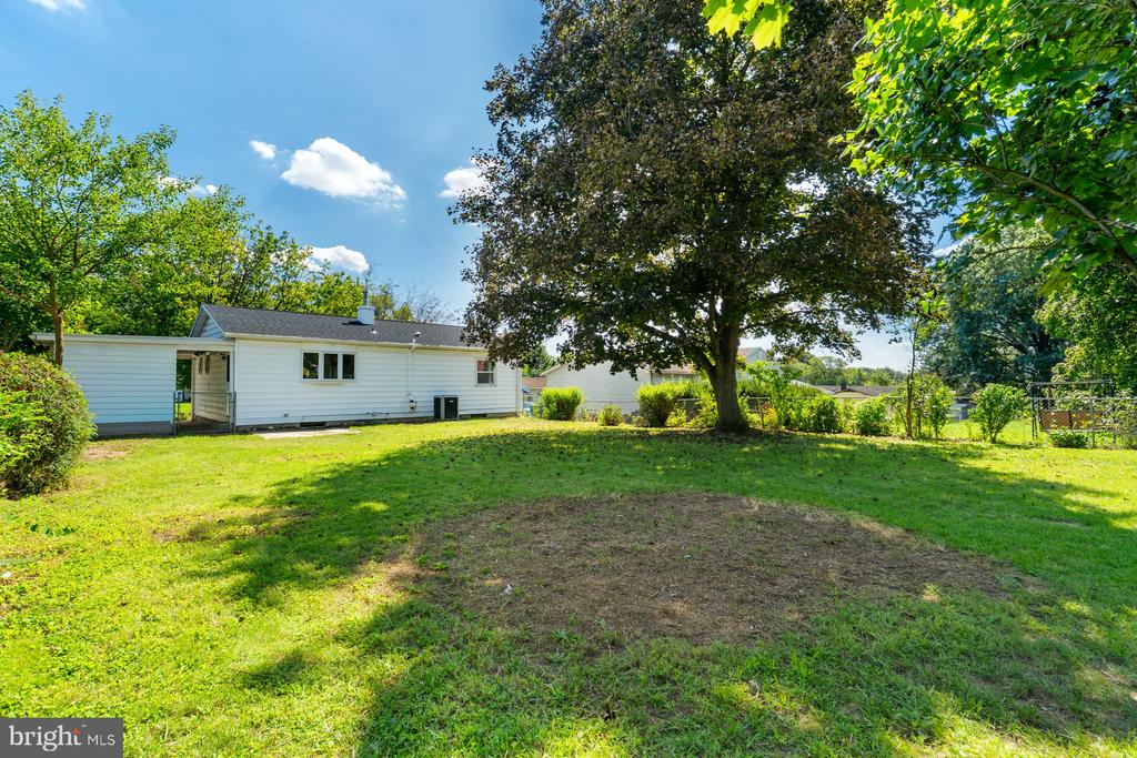 1010 COLLINGSWOOD