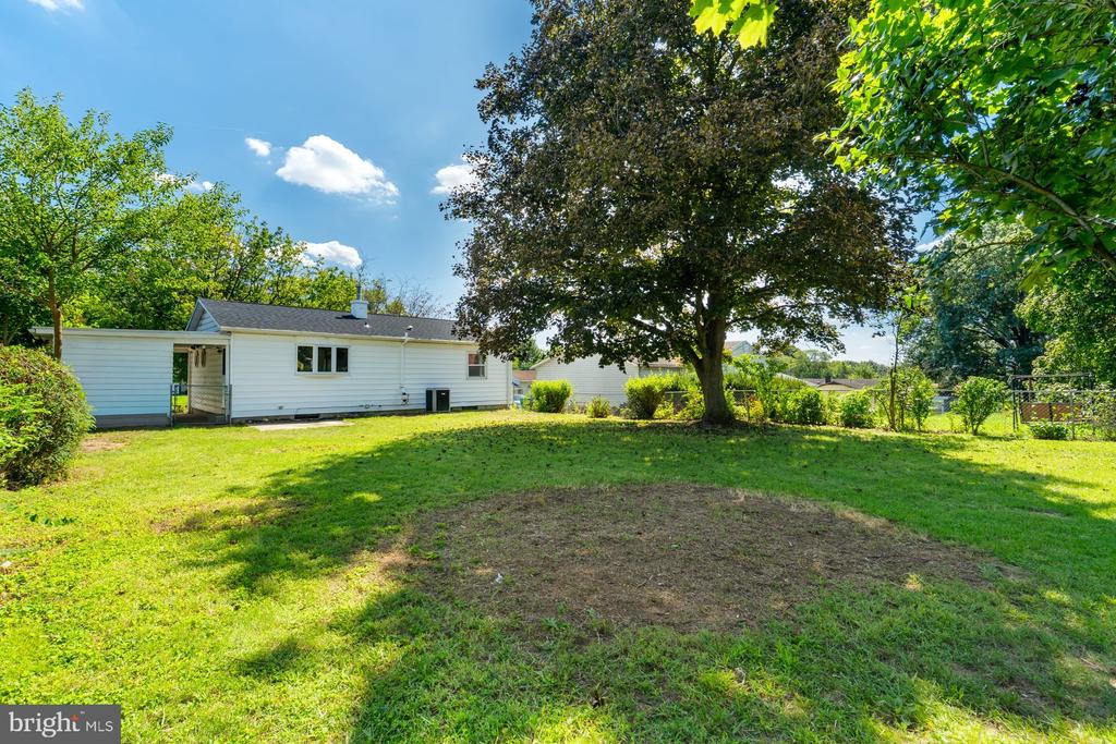 1010 COLLINGSWOOD