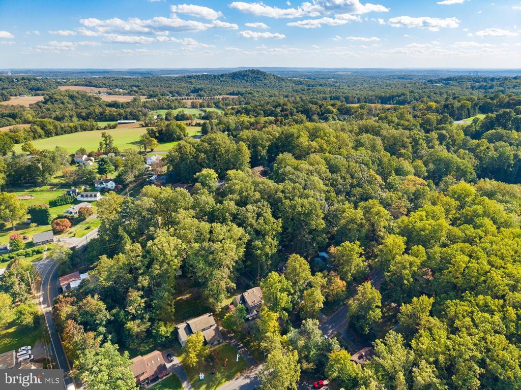 1426 SPRING HILL DRIVE