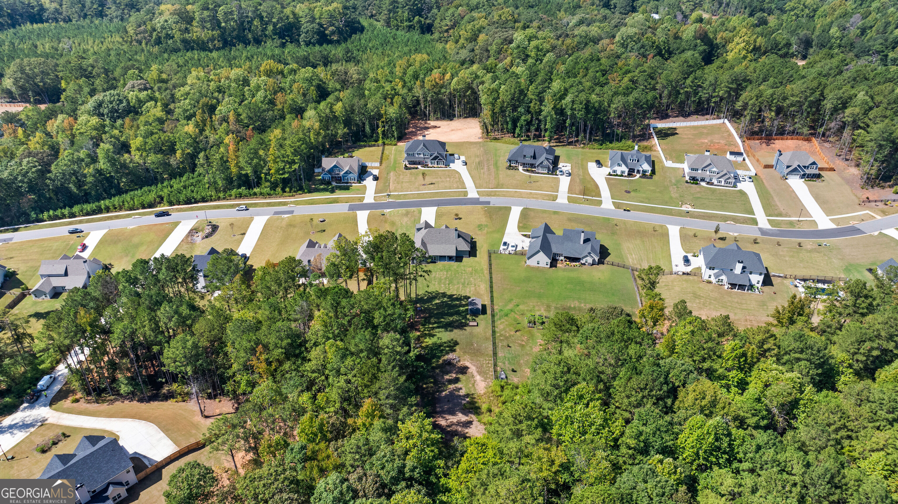 Aerial view of homes along a neighborhood road, with broad lawns and dense woods.
