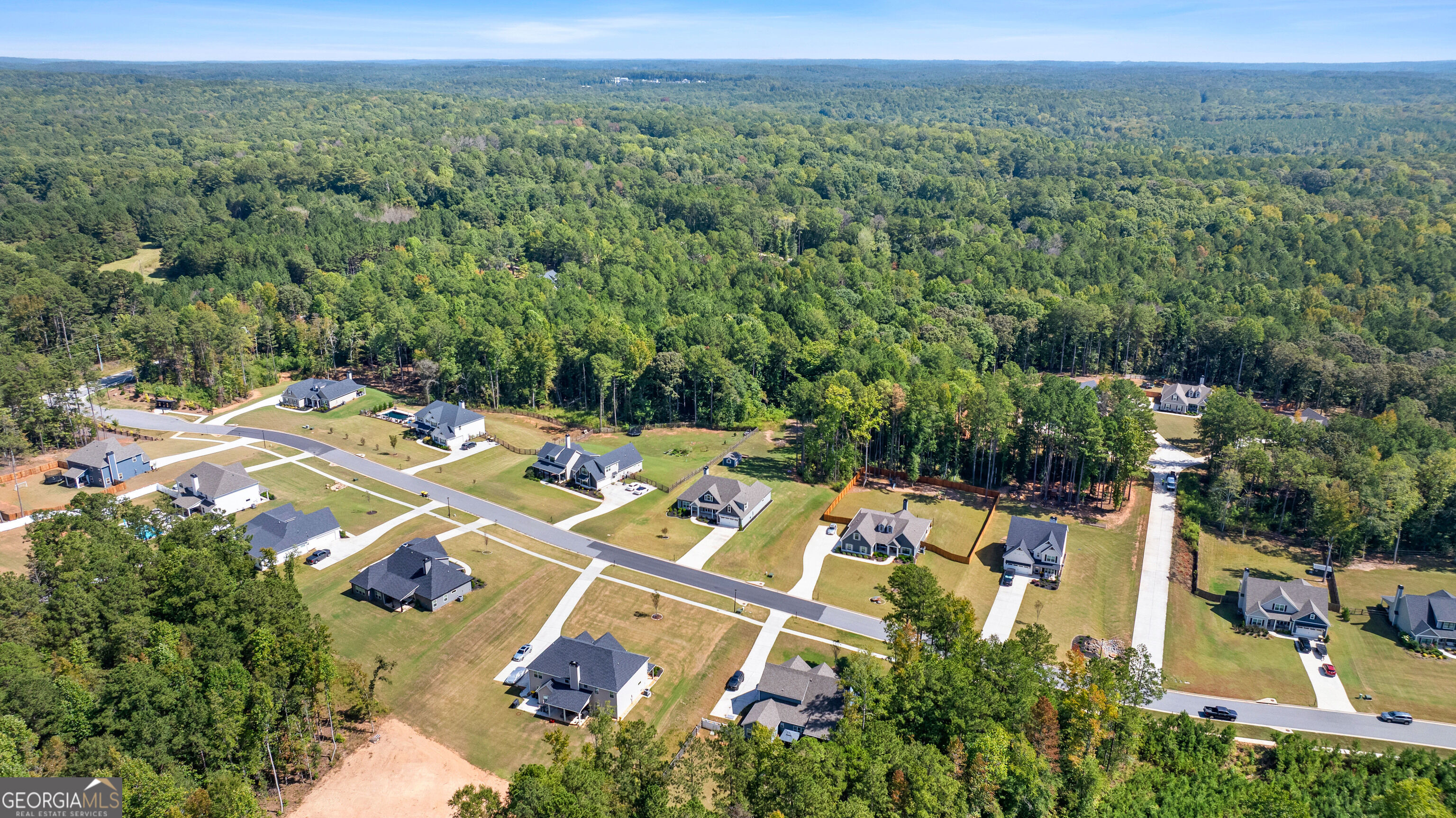 Aerial view of homes along neighborhood streets bordered by dense woodland.
