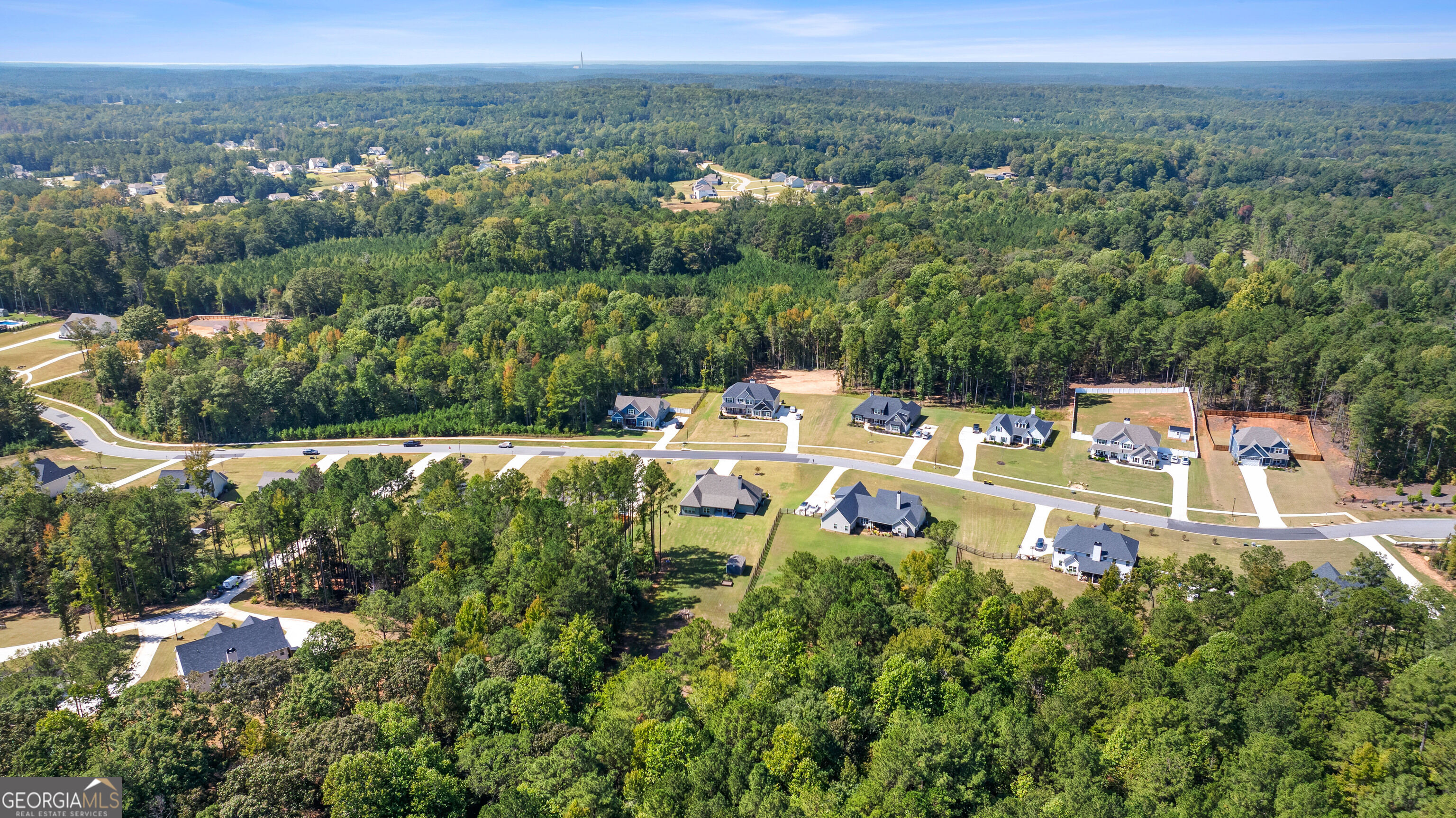 Aerial view of homes along a neighborhood road, surrounded by dense woodland.