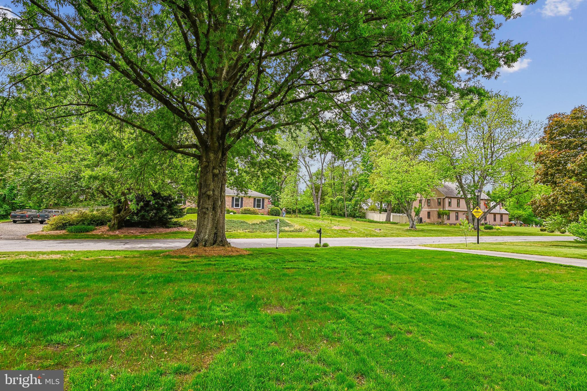 84 Tarragon Ln