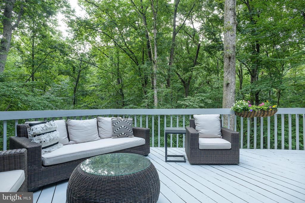 2803 Clove Ln