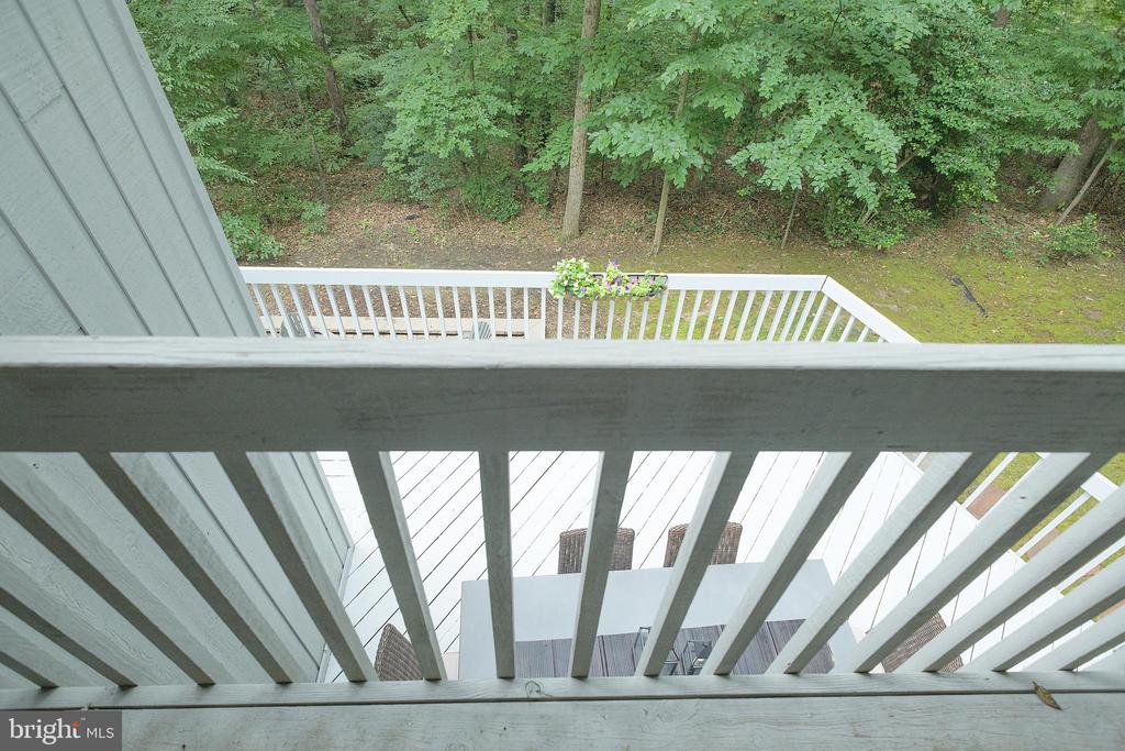 2803 Clove Ln