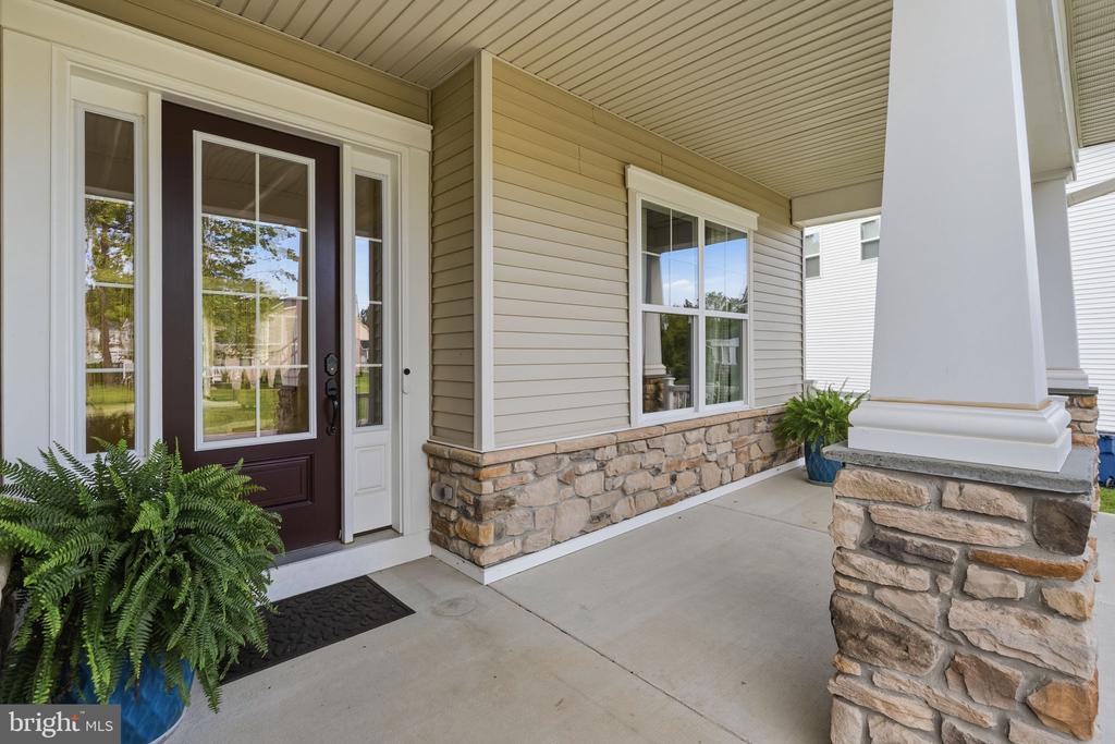 246 LILY LANE