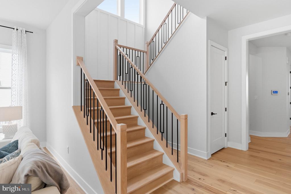 246 LILY LANE