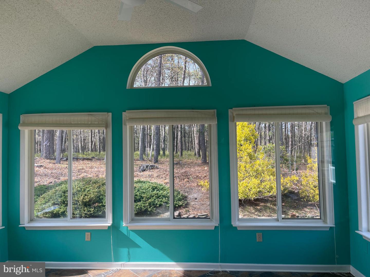 134 Pine Oak Blvd