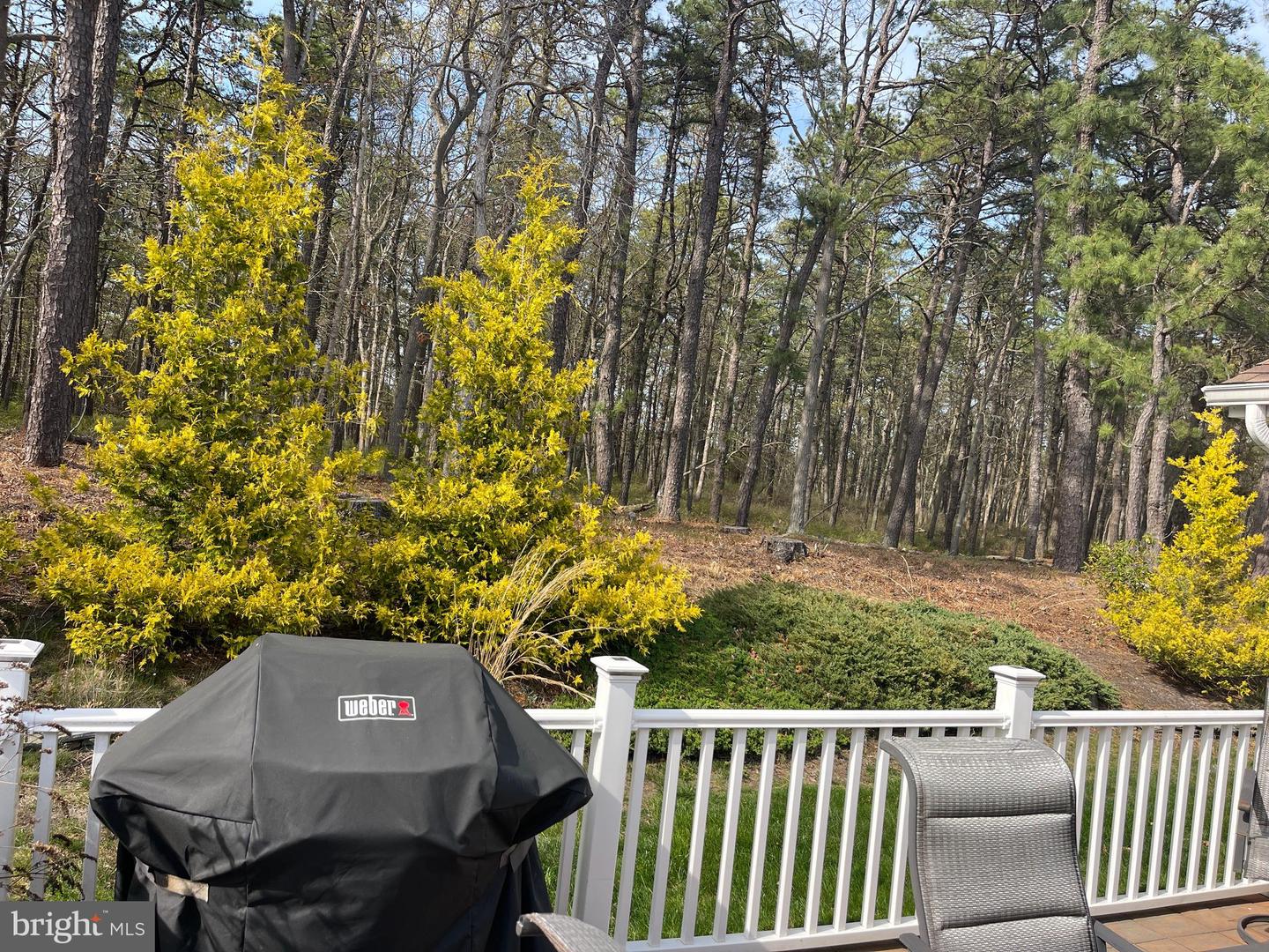 134 Pine Oak Blvd