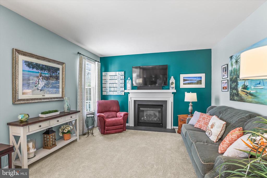 17355 RUSSETT FARM DRIVE