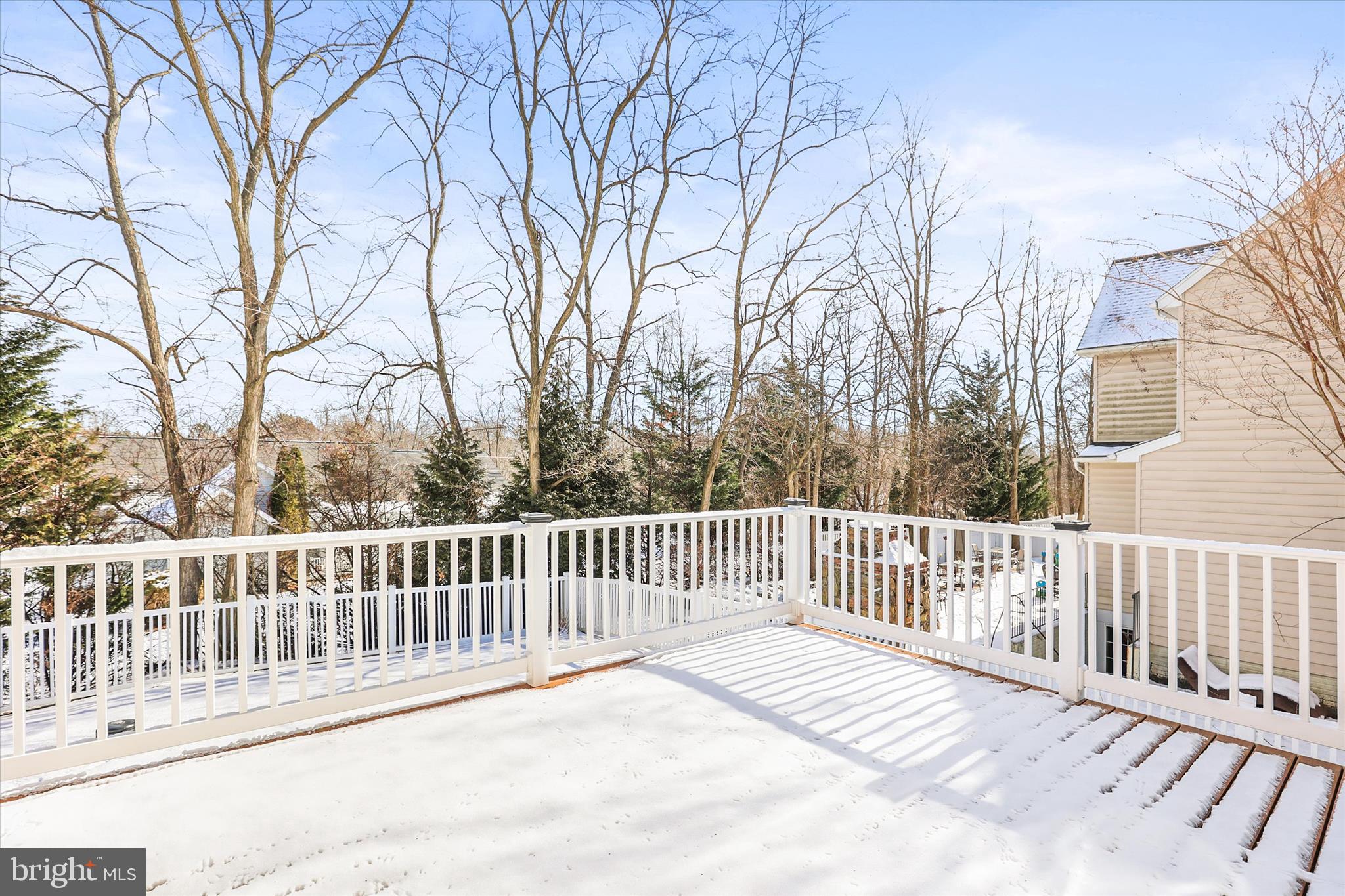 17355 RUSSETT FARM DRIVE