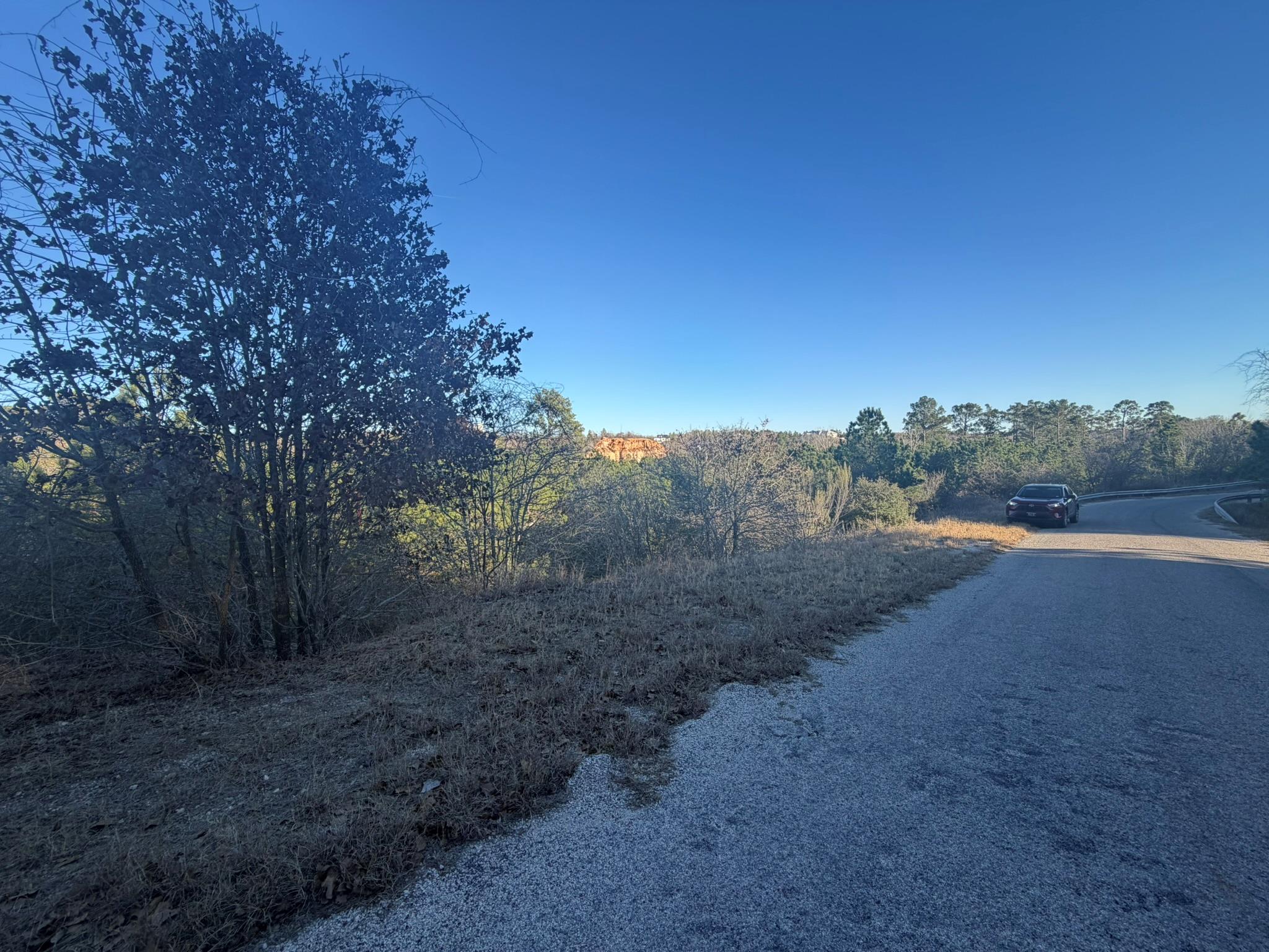 Vacant wooded lot beside a curving road, with a distant rocky outcrop.