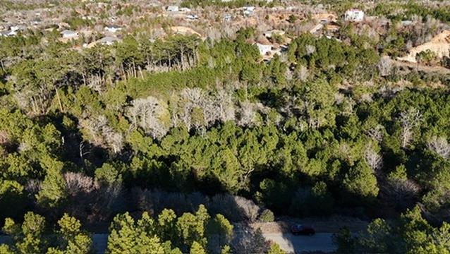 Aerial view of a densely wooded lot beside a road, with homes in the distance.