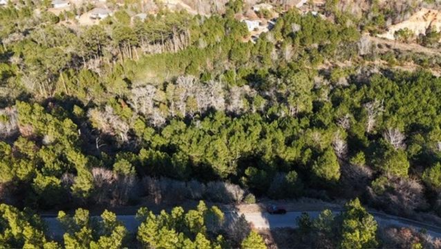Wooded vacant lot viewed from above, with a road and small clearing.