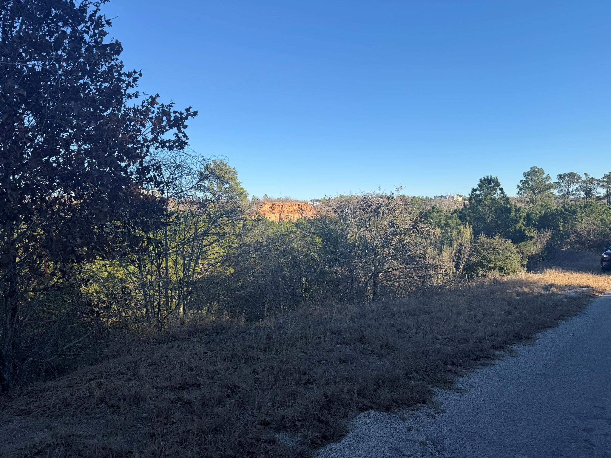 Vacant wooded lot beside a gravel road, with pine trees and an orange exposed cut in the distance.