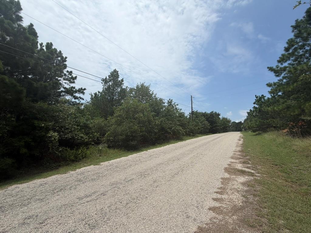 151 S Buckhorn DR