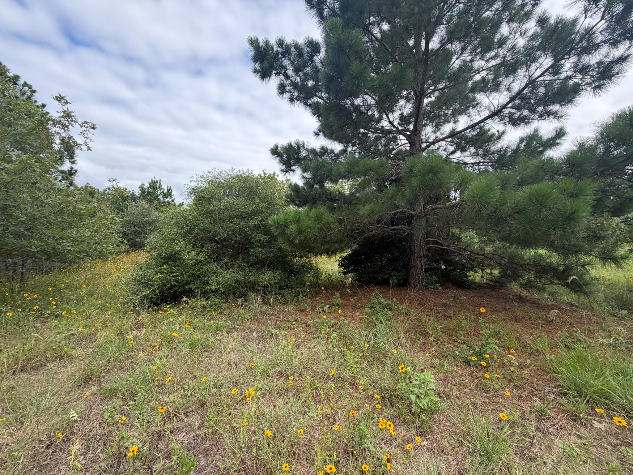 151 S Buckhorn DR