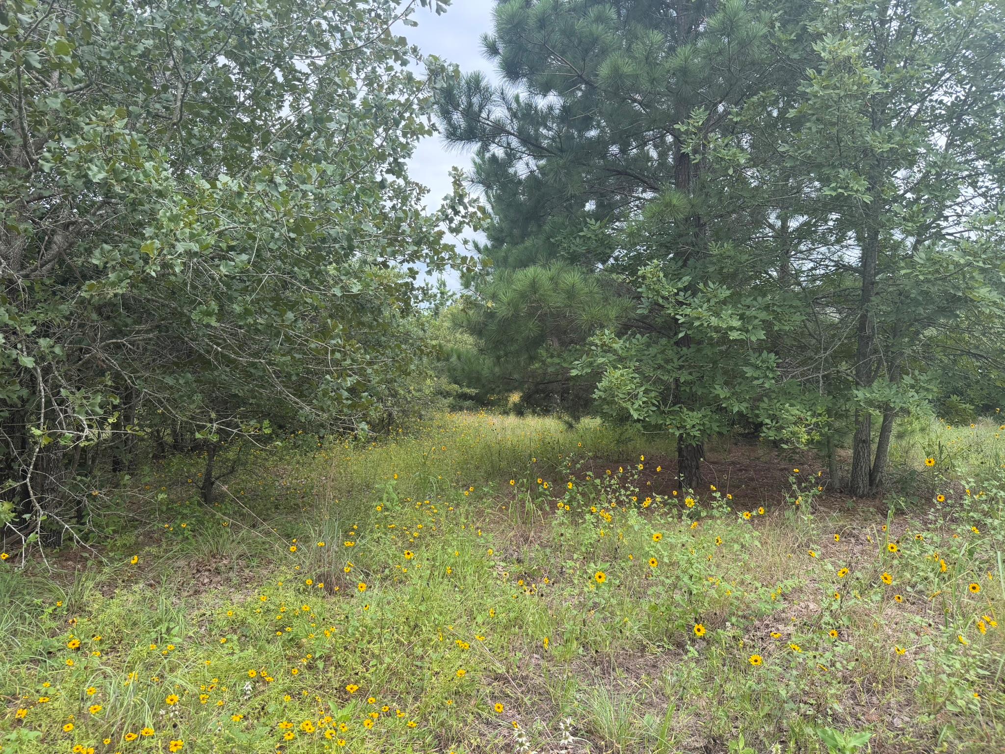 151 S Buckhorn DR