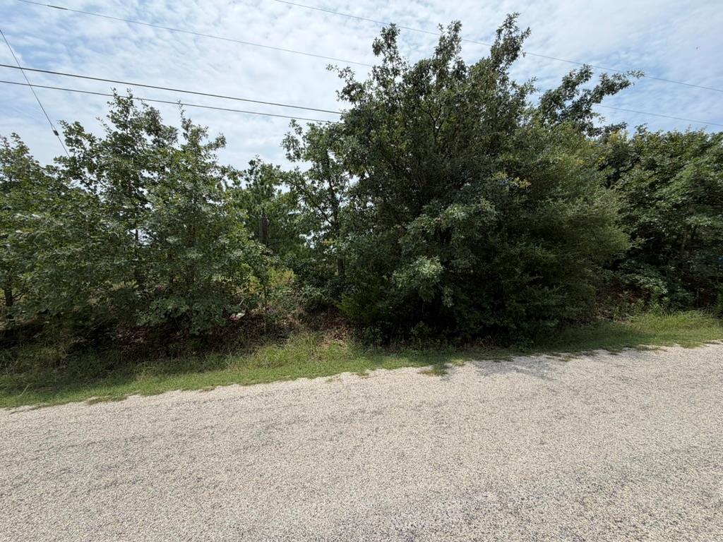 151 S Buckhorn DR