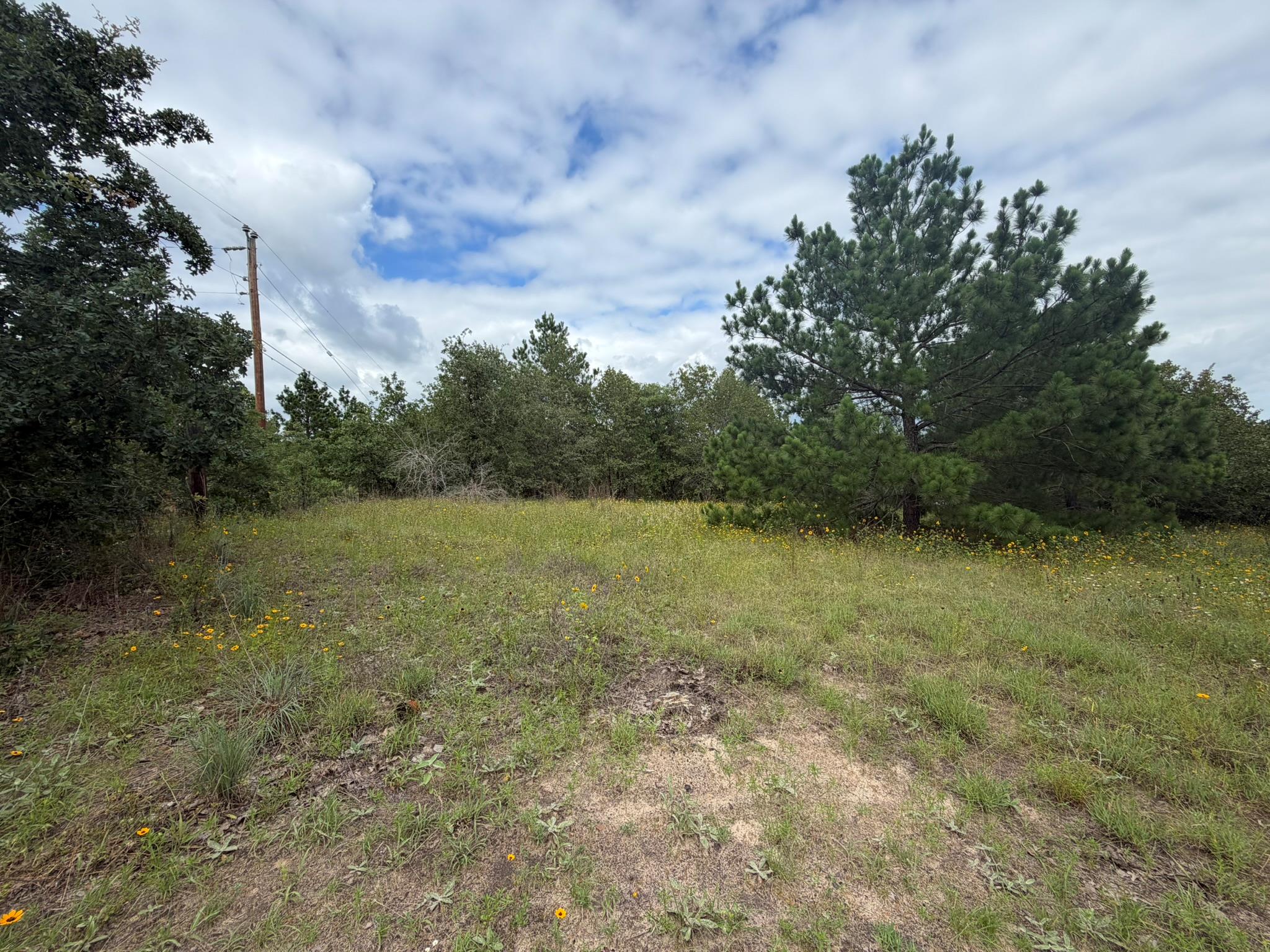 151 S Buckhorn DR