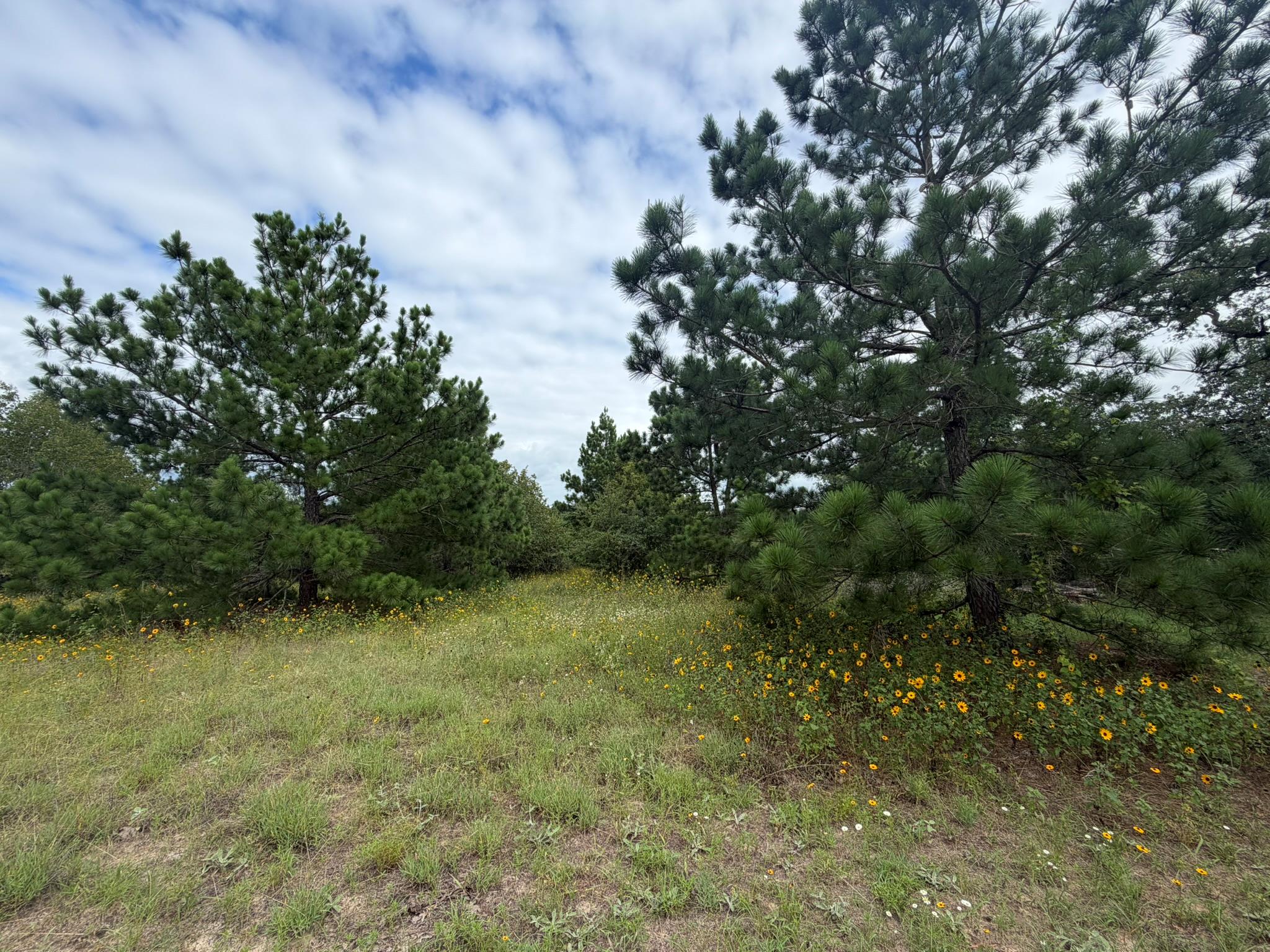 151 S Buckhorn DR