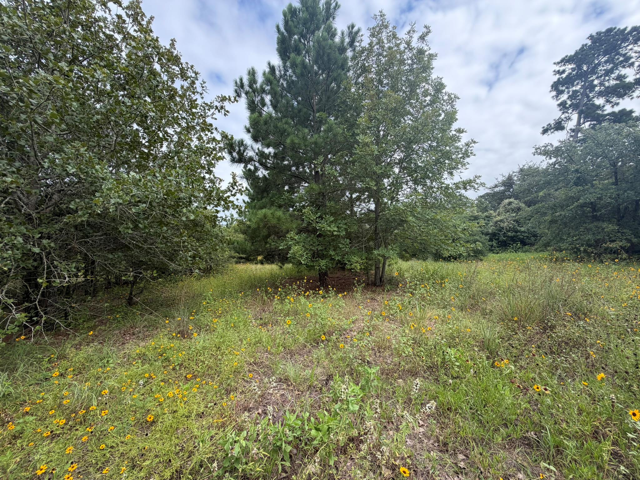 151 S Buckhorn DR
