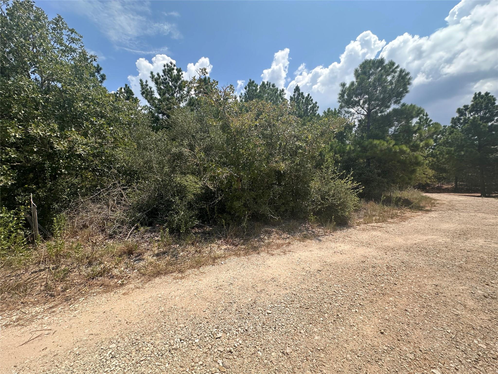 LOT 42 Hereford LN
