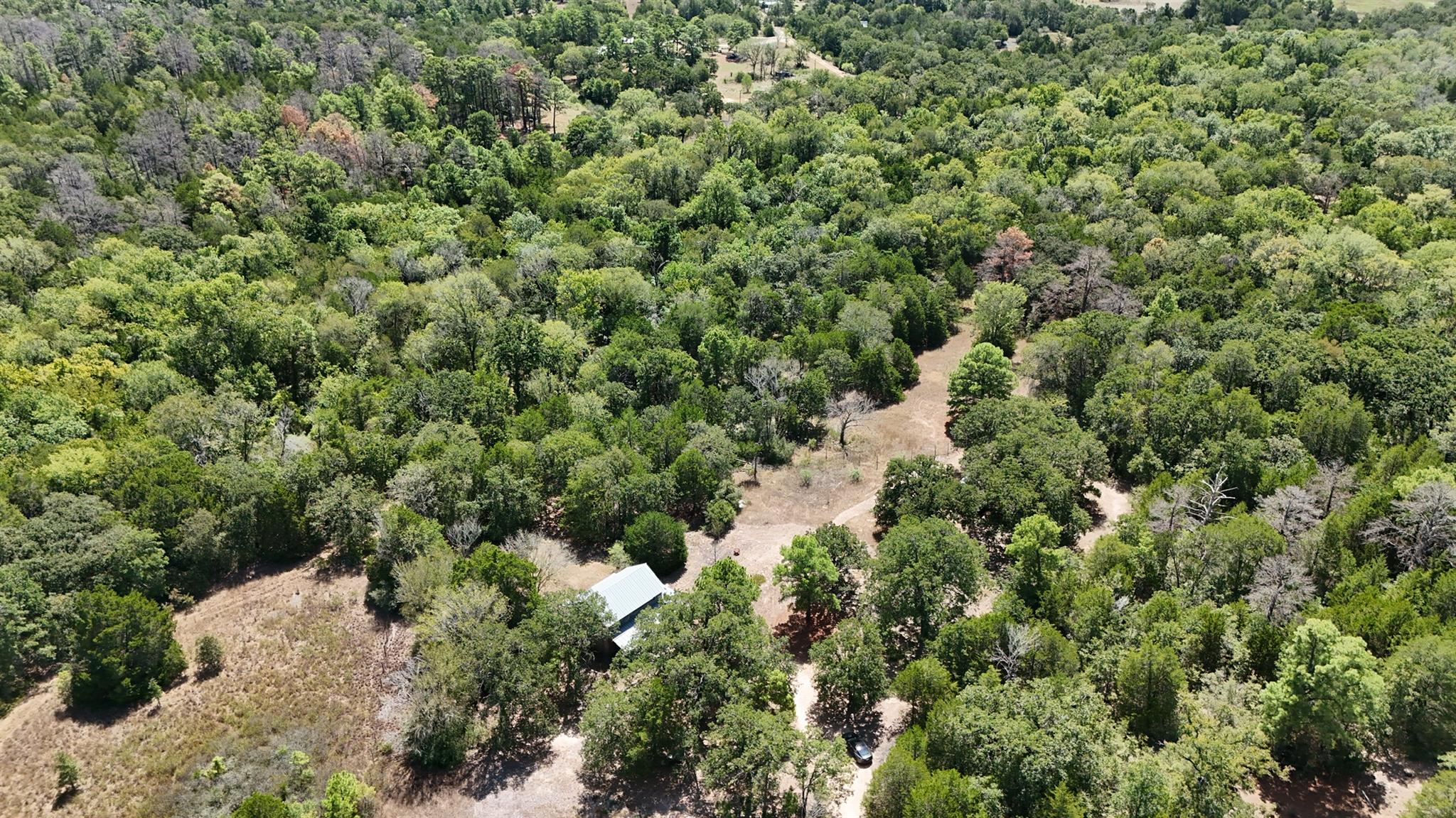Aerial view of wooded acreage with open clearings, a metal-roofed structure, and a winding dirt driveway.