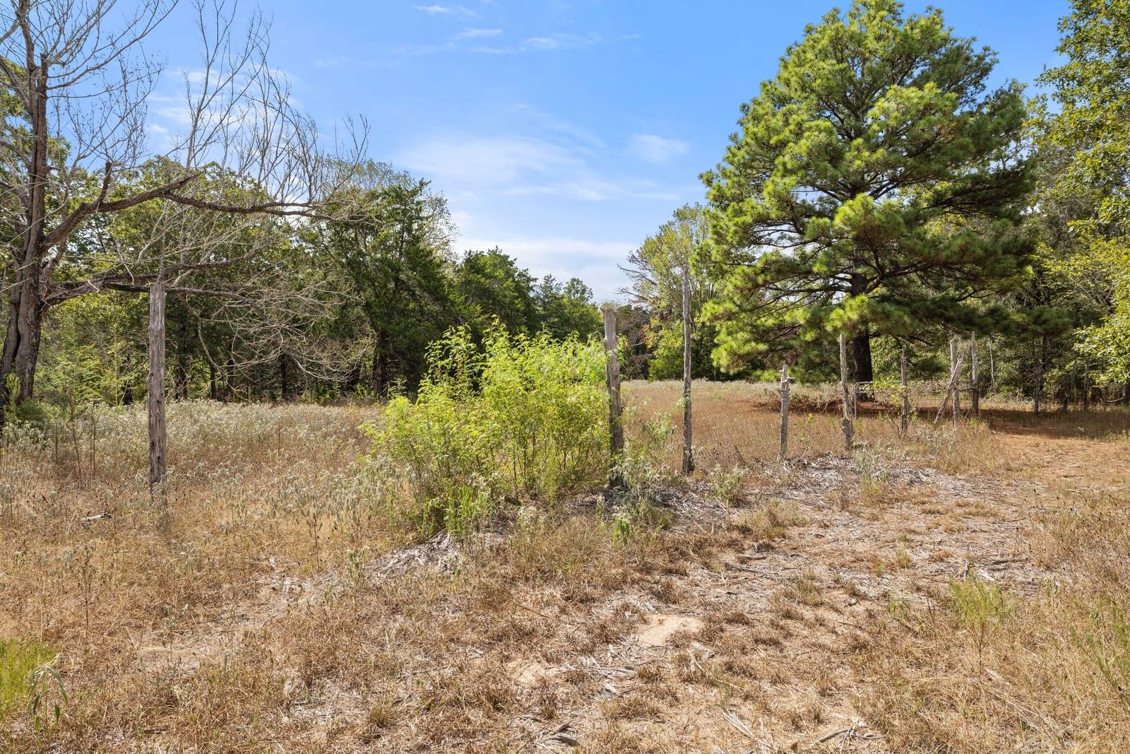 Wooded vacant lot with a dry clearing, scattered trees, and a wire fence.