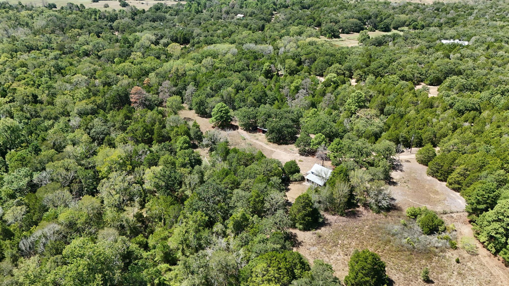Aerial view of wooded acreage with open clearings, a dirt drive, and small buildings.
