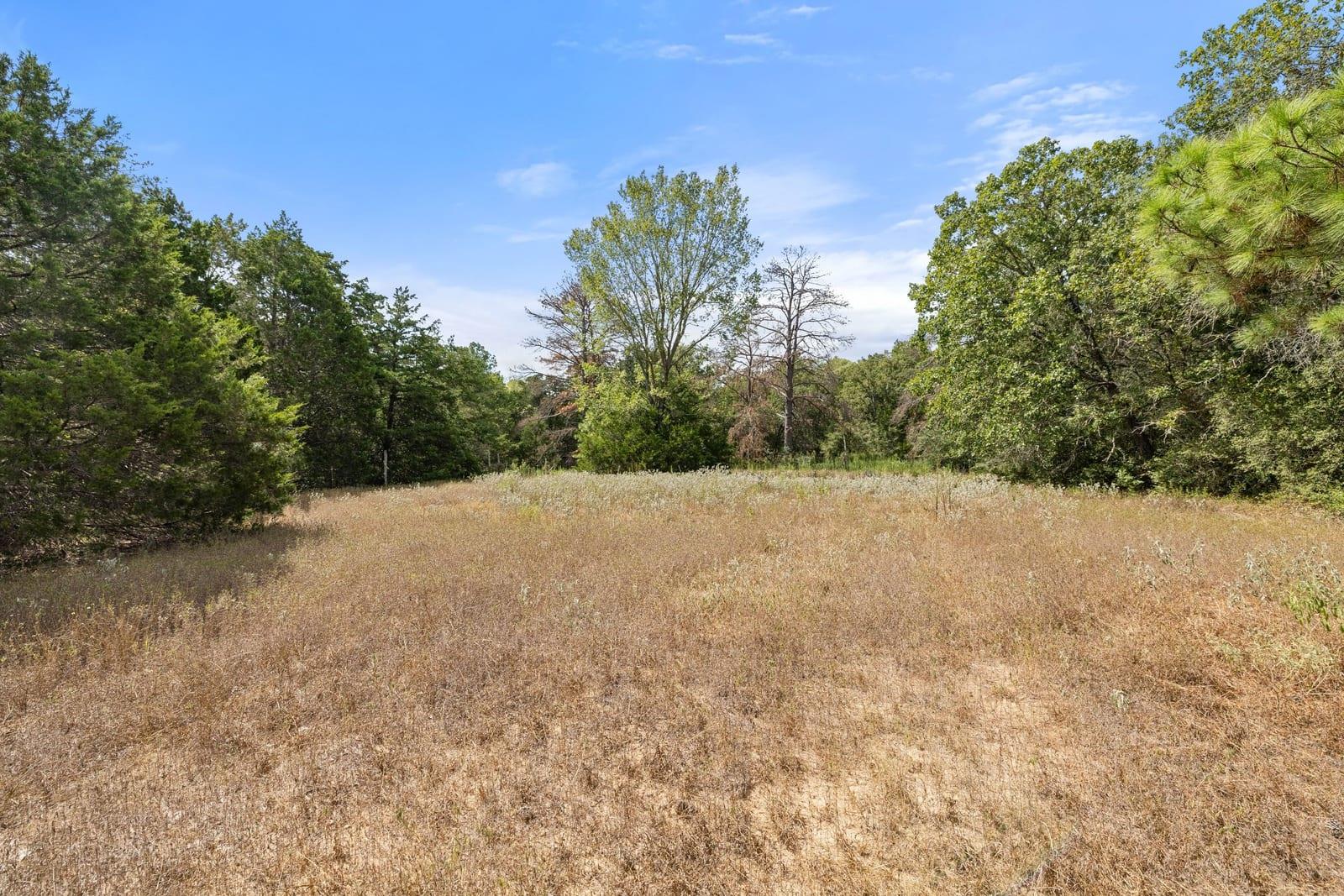 Open grassy lot bordered by trees with a wooded backdrop.