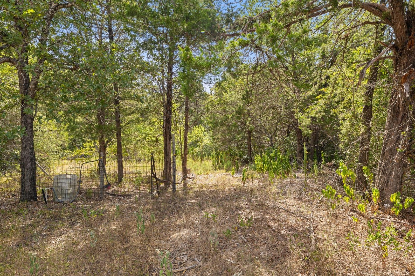 Wooded property lot with mature trees, dry ground, and a wire fence.