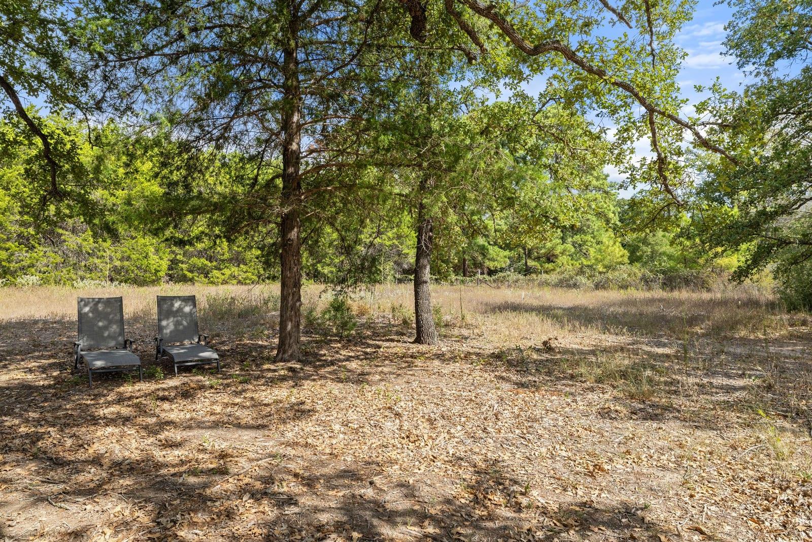 Wooded property clearing with two lounge chairs beneath mature trees.
