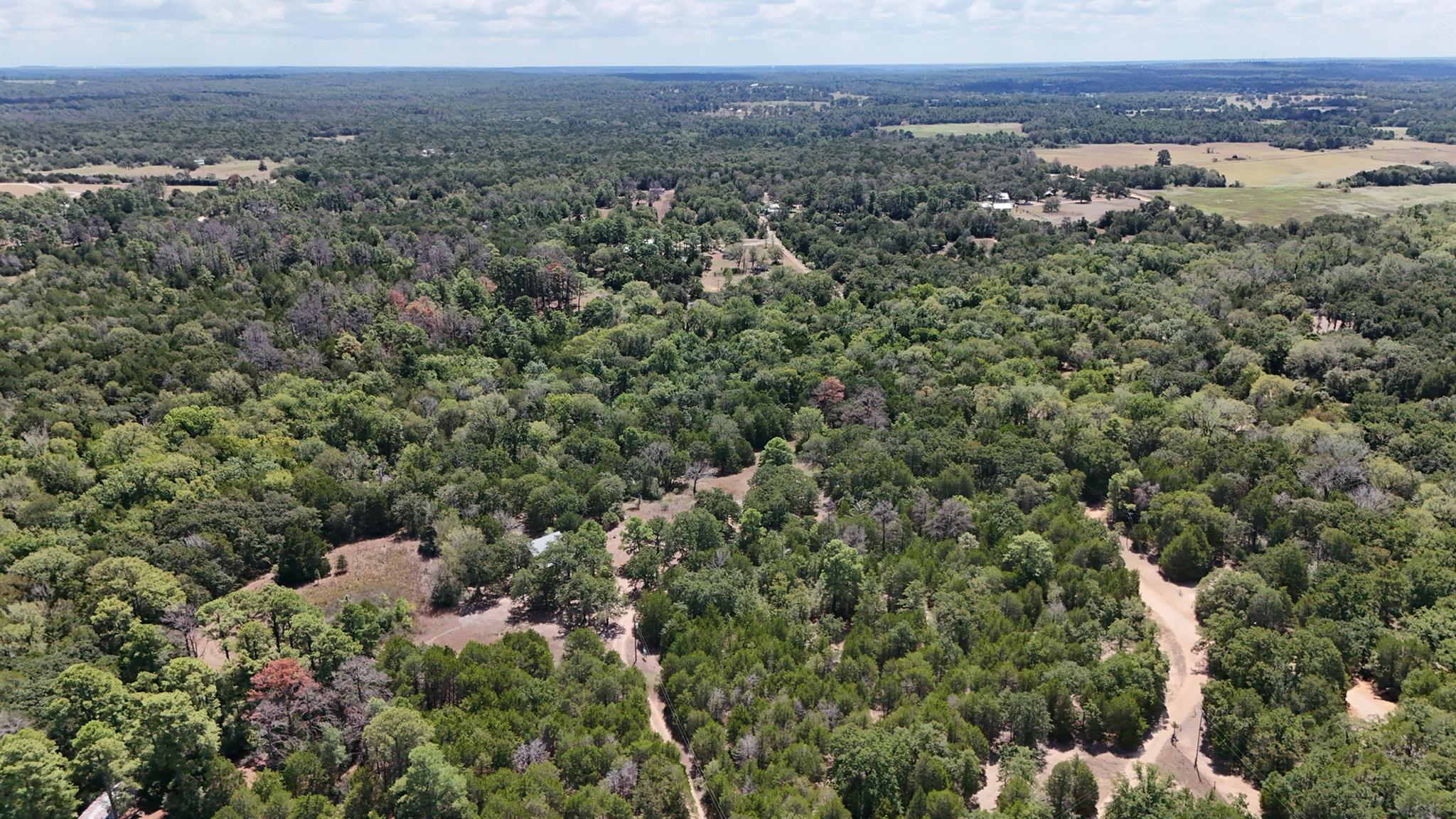 Aerial view of wooded acreage with dirt roads, scattered clearings, and open fields.
