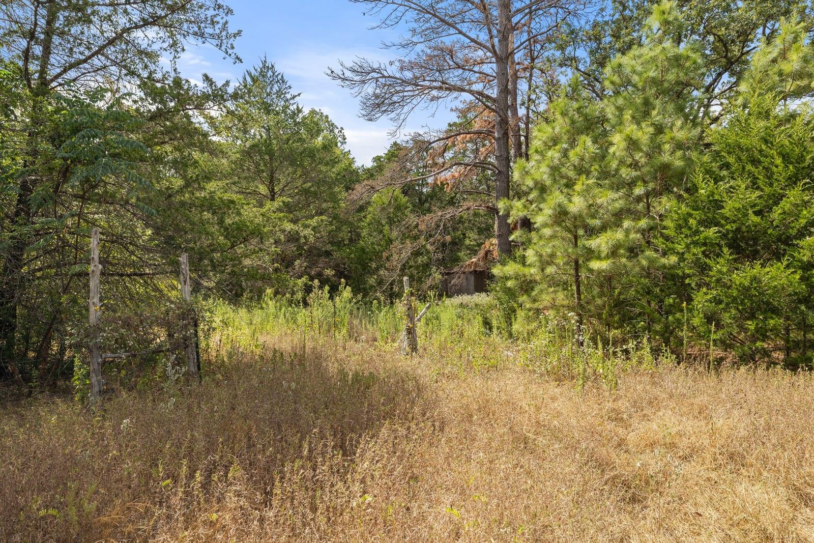 Wooded vacant lot with dry grass, dense trees, and a rustic fence.