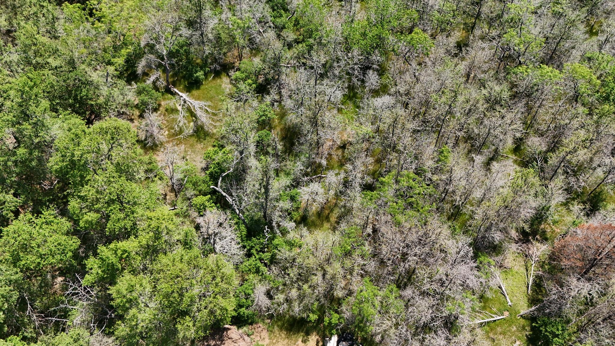 237 Mokulua LN