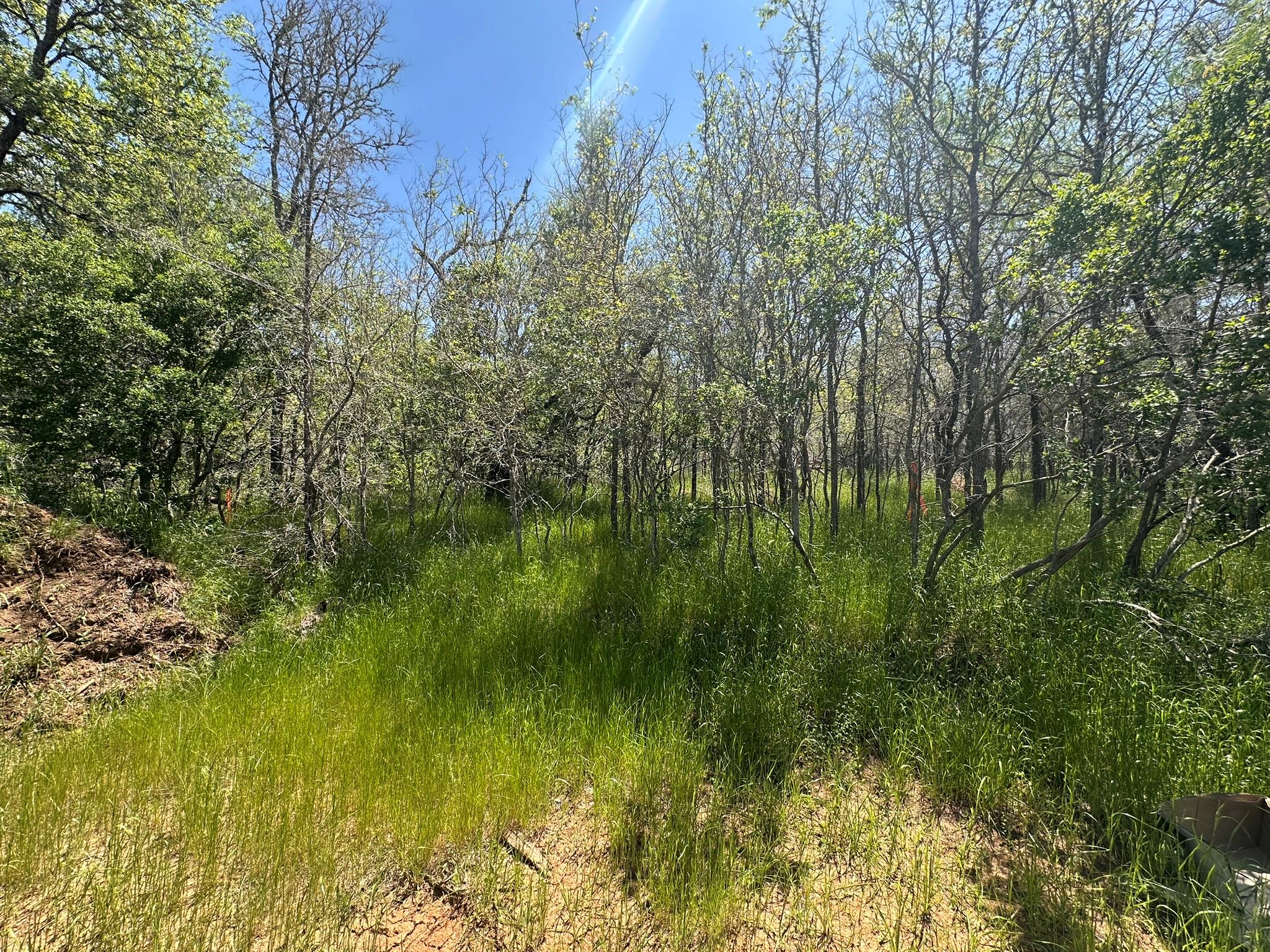 237 Mokulua LN