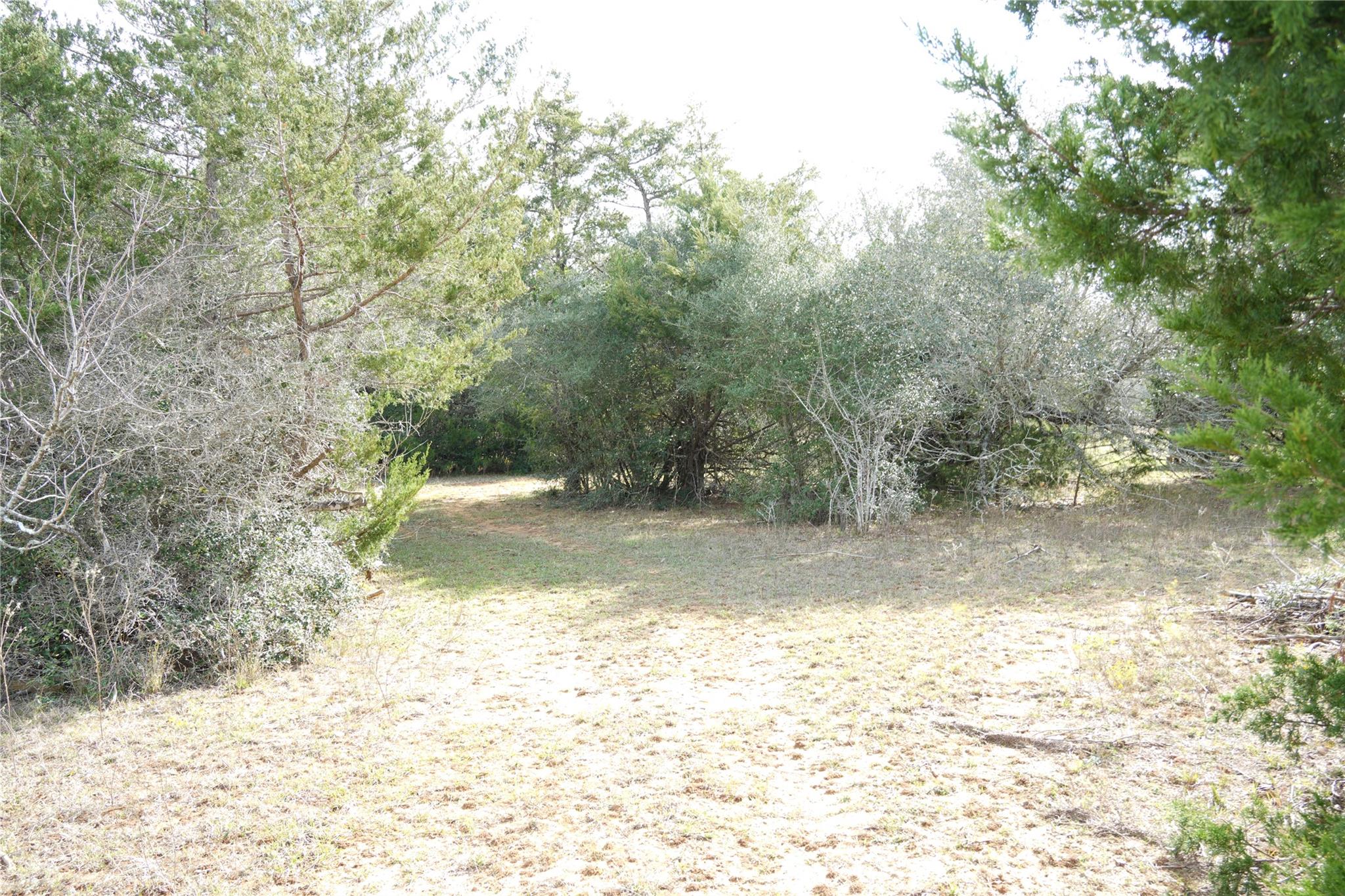 259 Meduna RD
