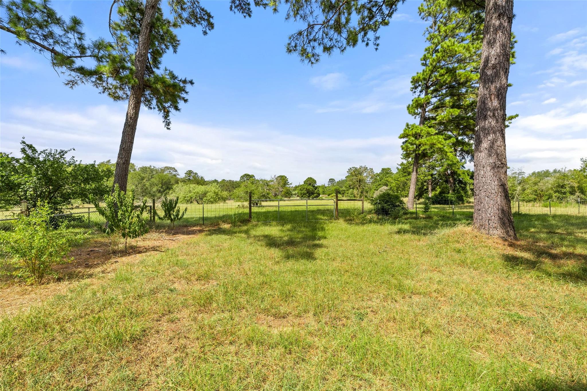 179 Rainbow DR