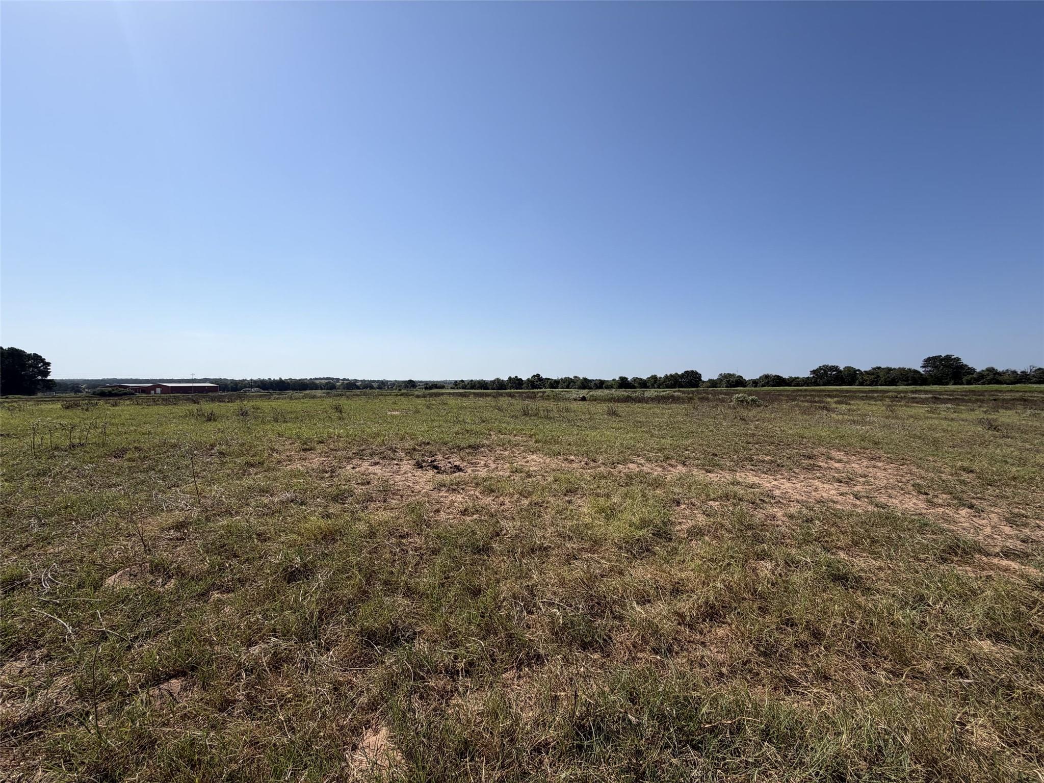 Open grassy land with a distant tree line and a small red outbuilding.