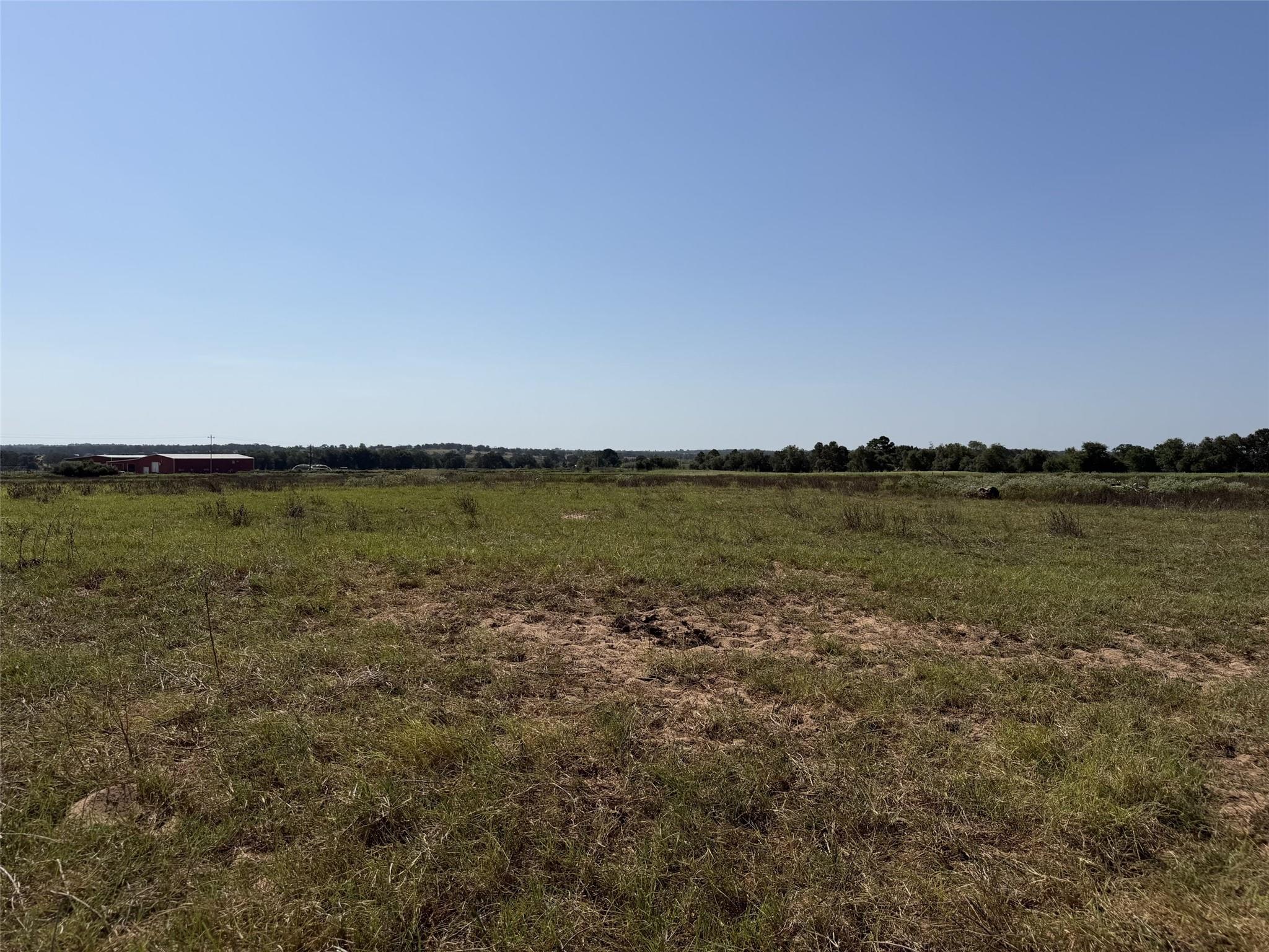 Open grassy land with bare soil patches and a red outbuilding near the distant tree line.