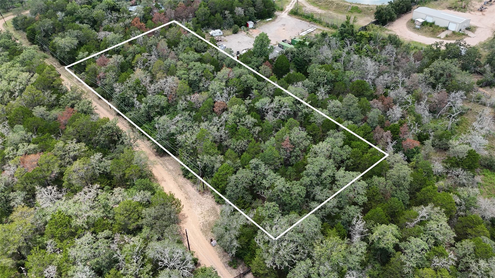 TBD Red Fox LN