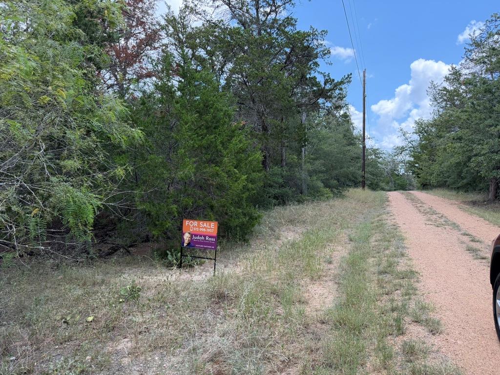 TBD Red Fox LN
