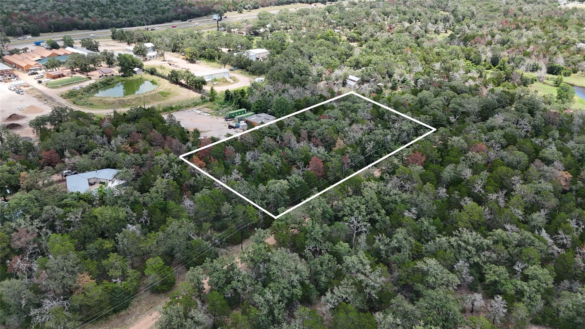 TBD Red Fox LN