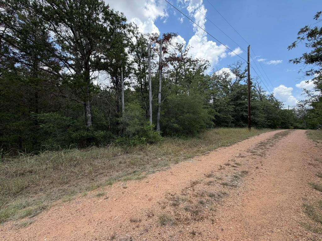 TBD Red Fox LN