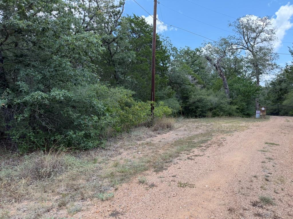 TBD Red Fox LN