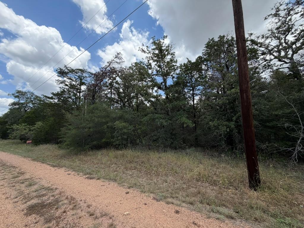 TBD Red Fox LN