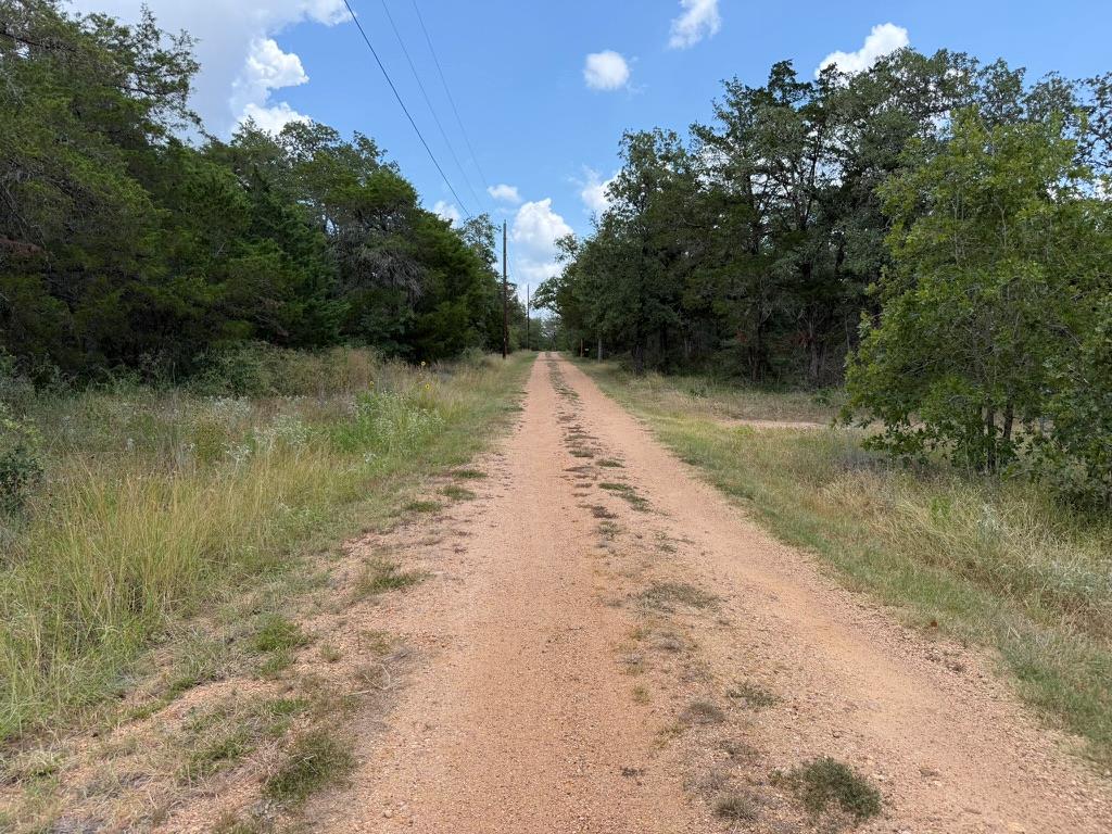 TBD Red Fox LN