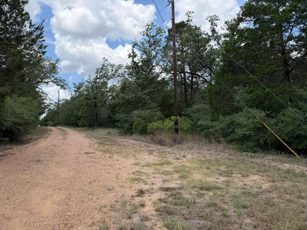 TBD Red Fox LN
